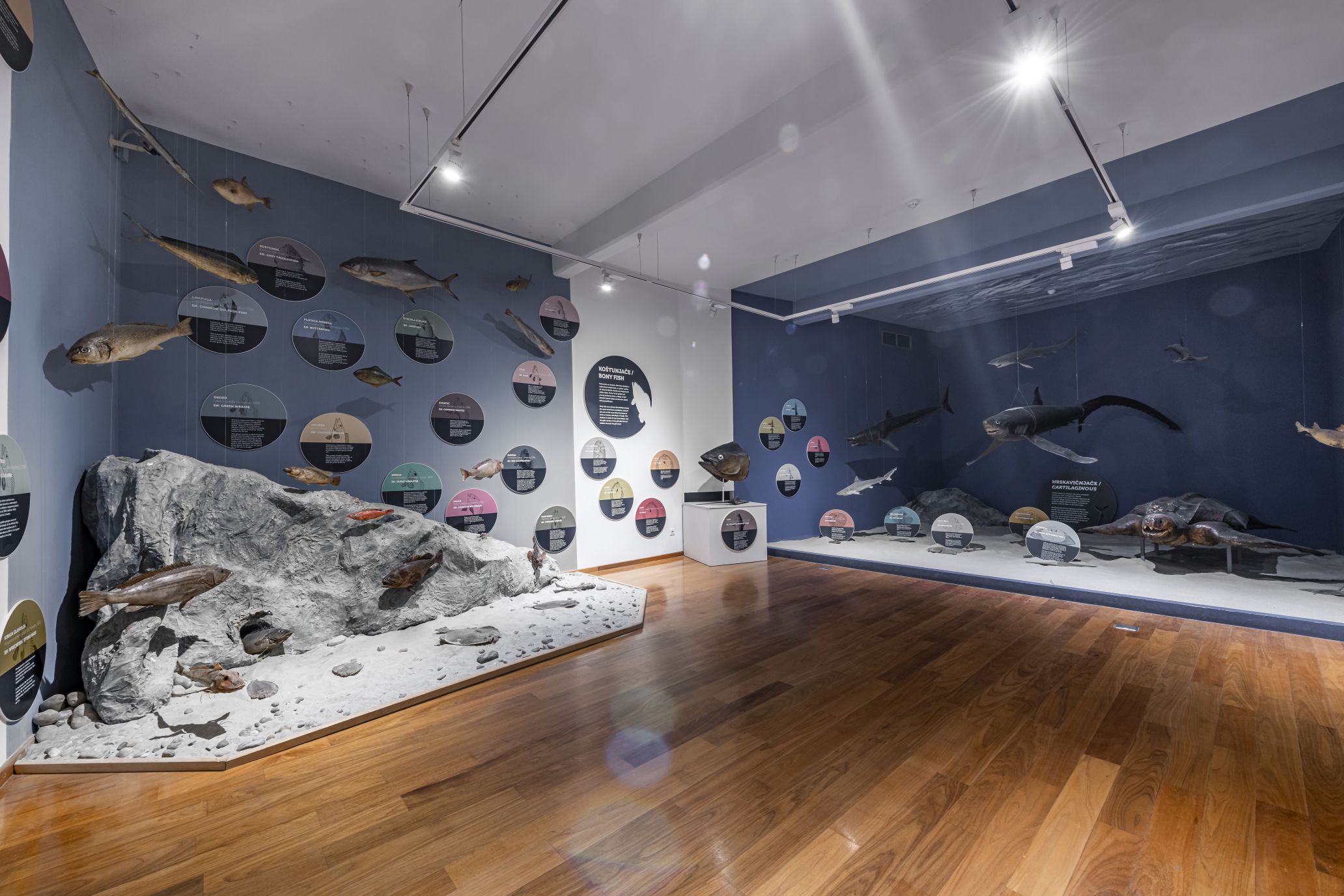 Prirodoslovni muzej Dubrovnik