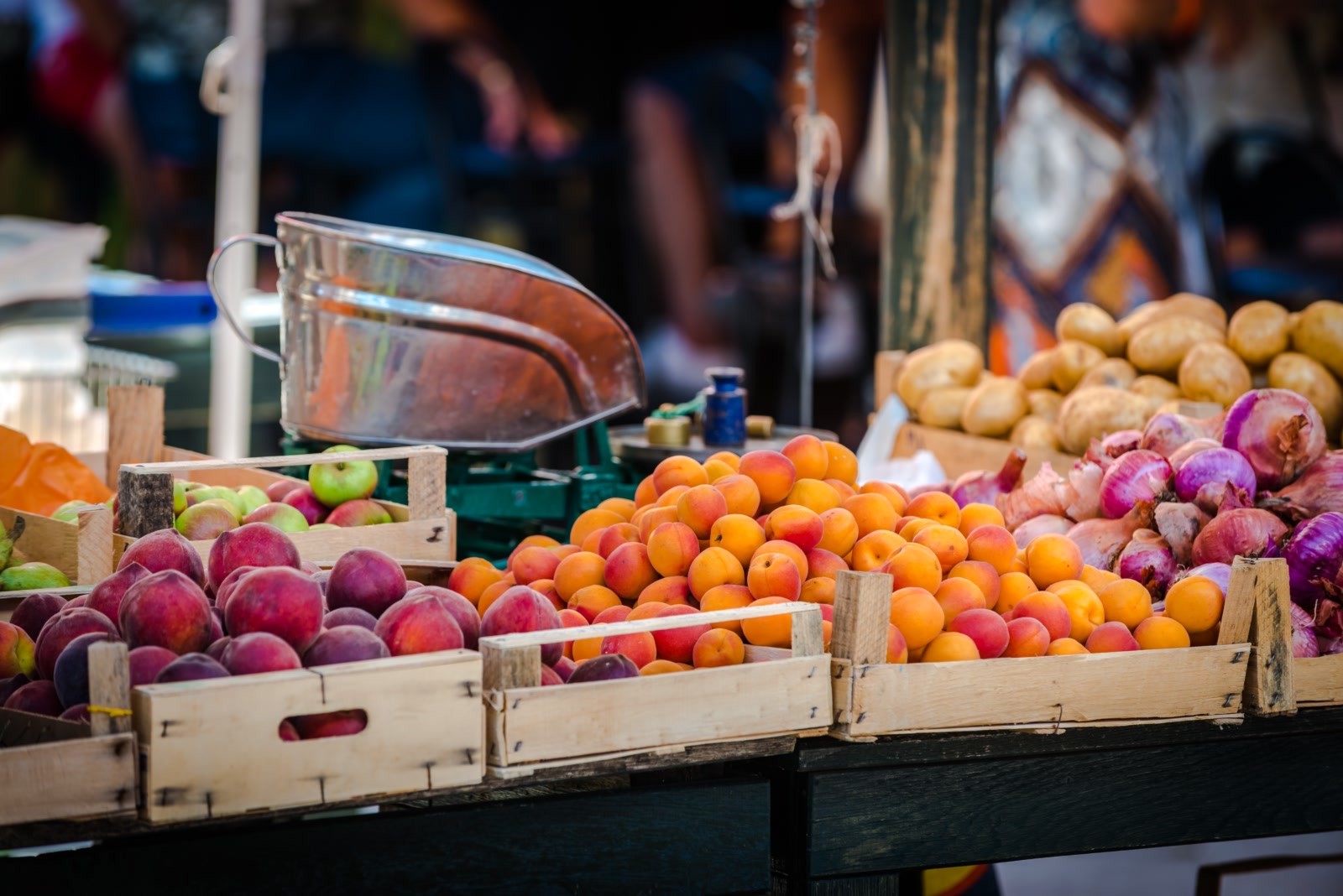 _nrl1919_niksa-raguz-lucic1