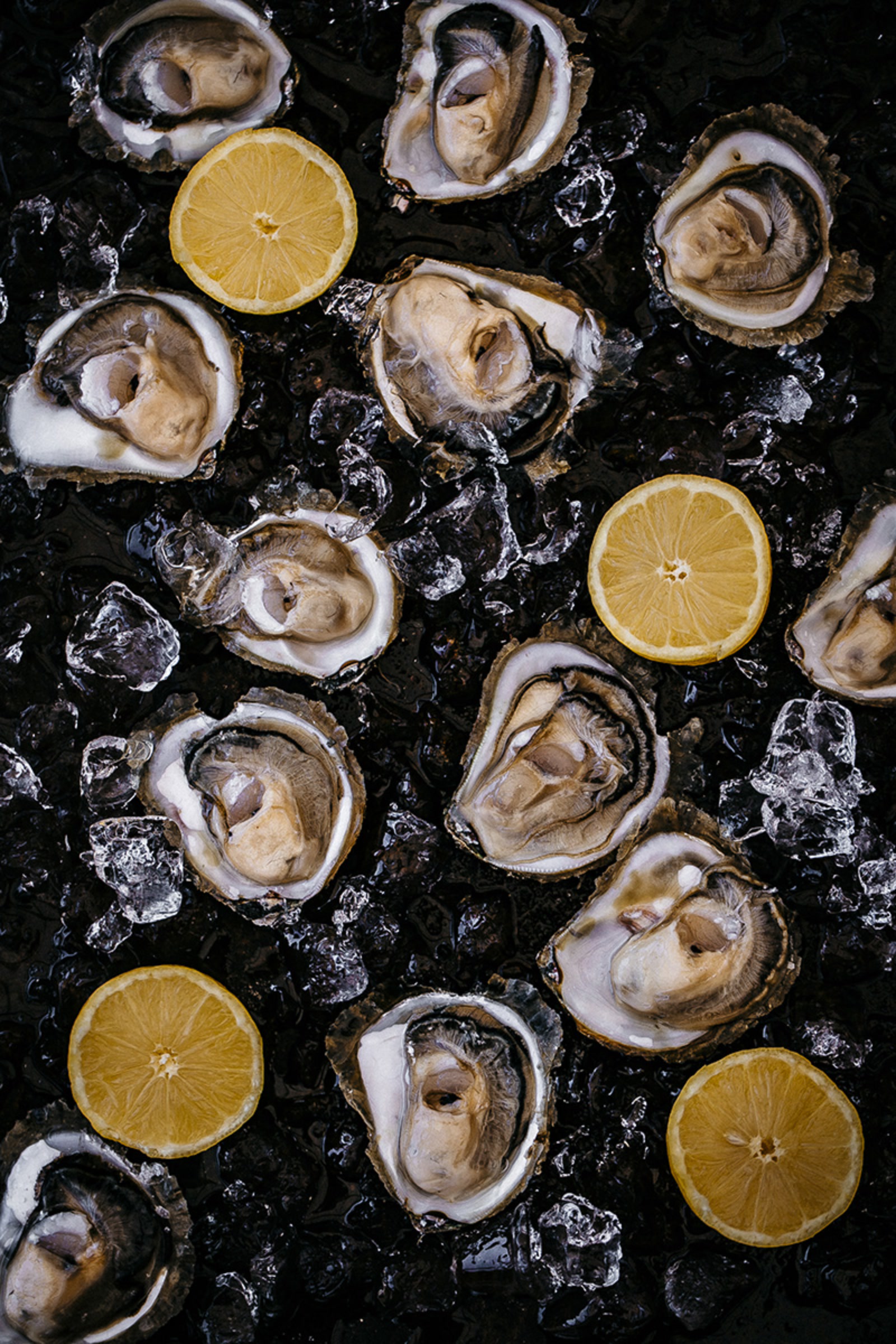 bg4a3346_katija-zivkovic1