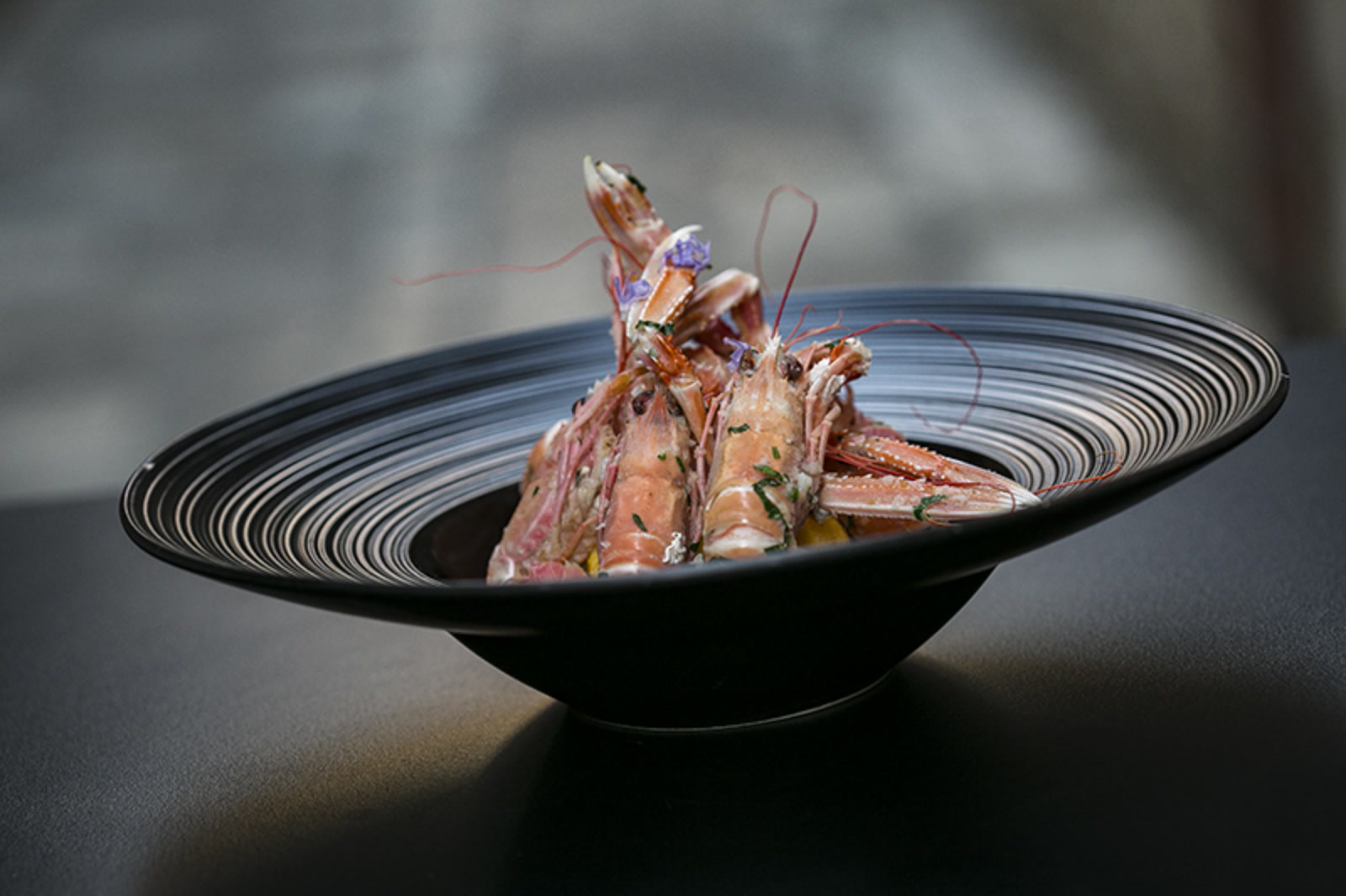 eg0a1219_katija-zivkovic1