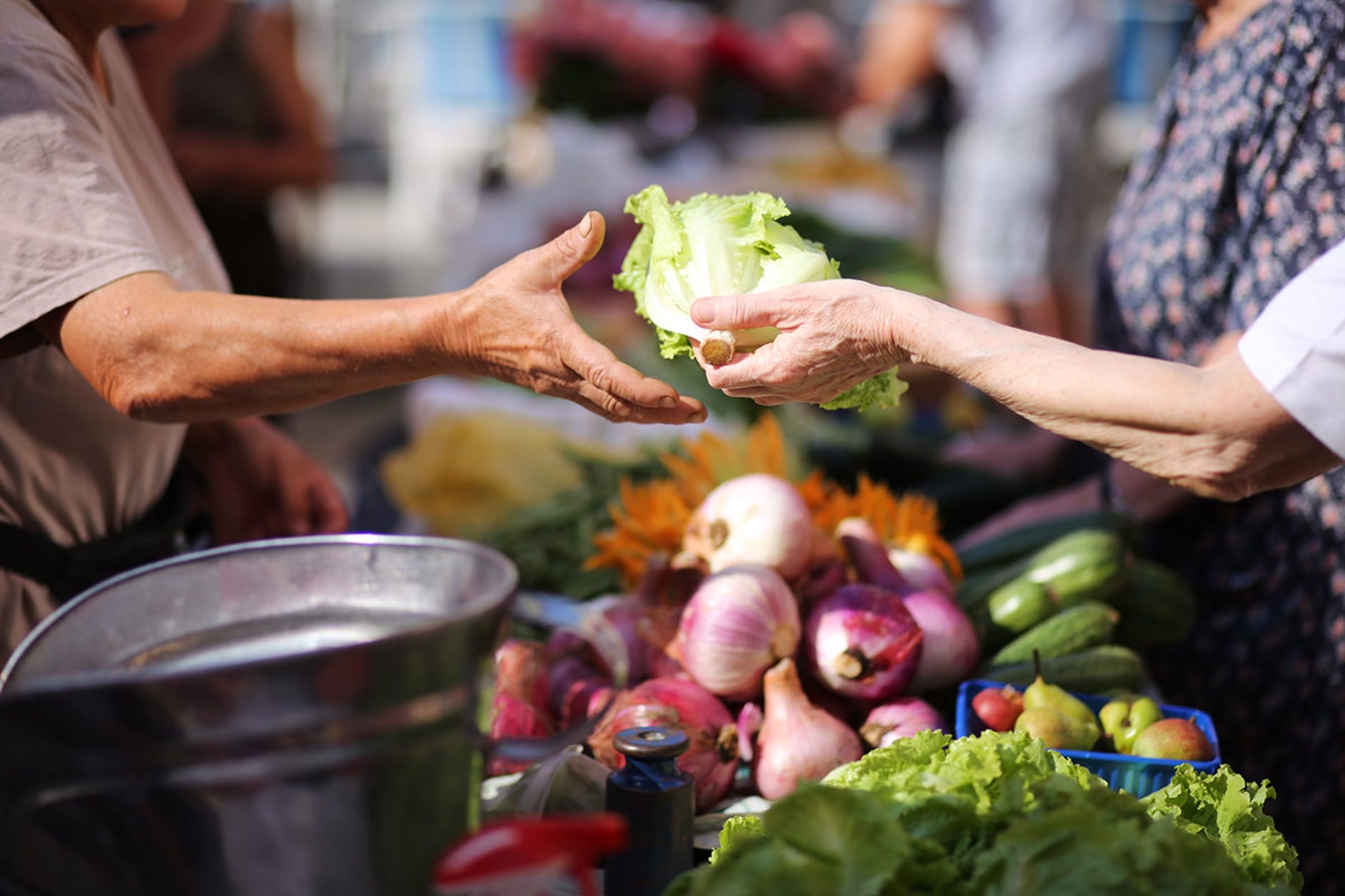 eg0a5329_katija-zivkovic1