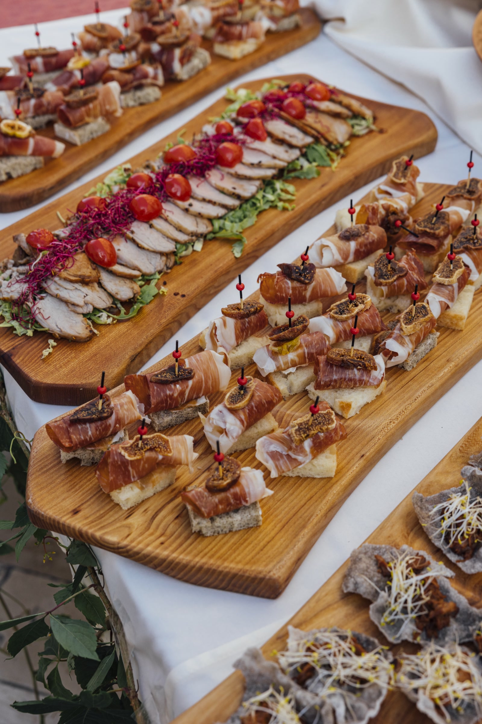 gff-2024-20-listopada-trpeza_16_katija-zivkovic1