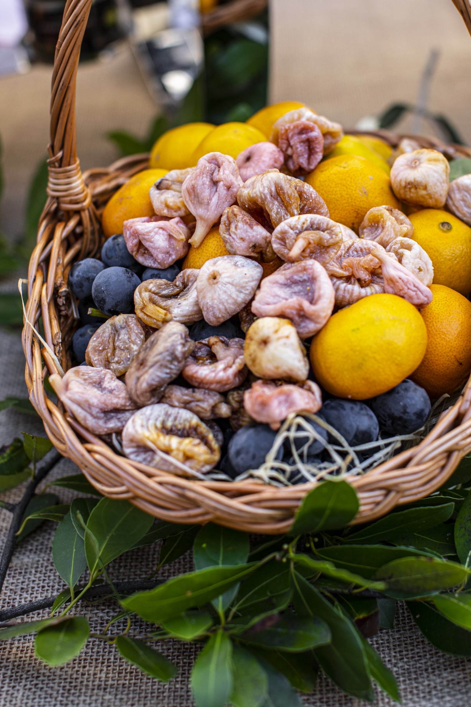 mk4_7338_katija-zivkovic1