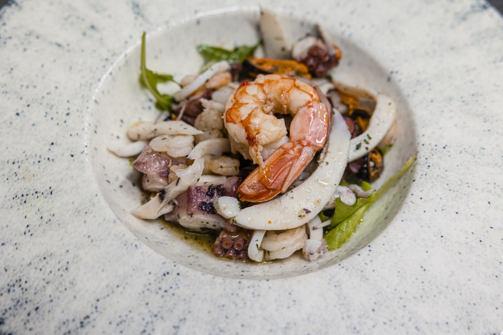 napolitanska-vecer_8_katija-zivkovic1