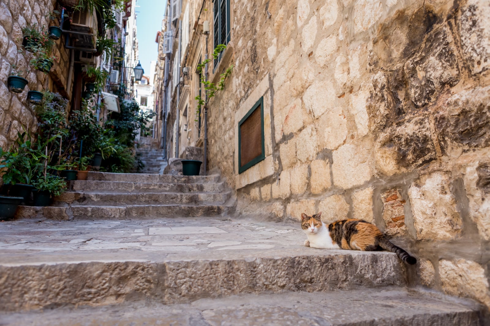 img_1821.jpg_julien-duval1