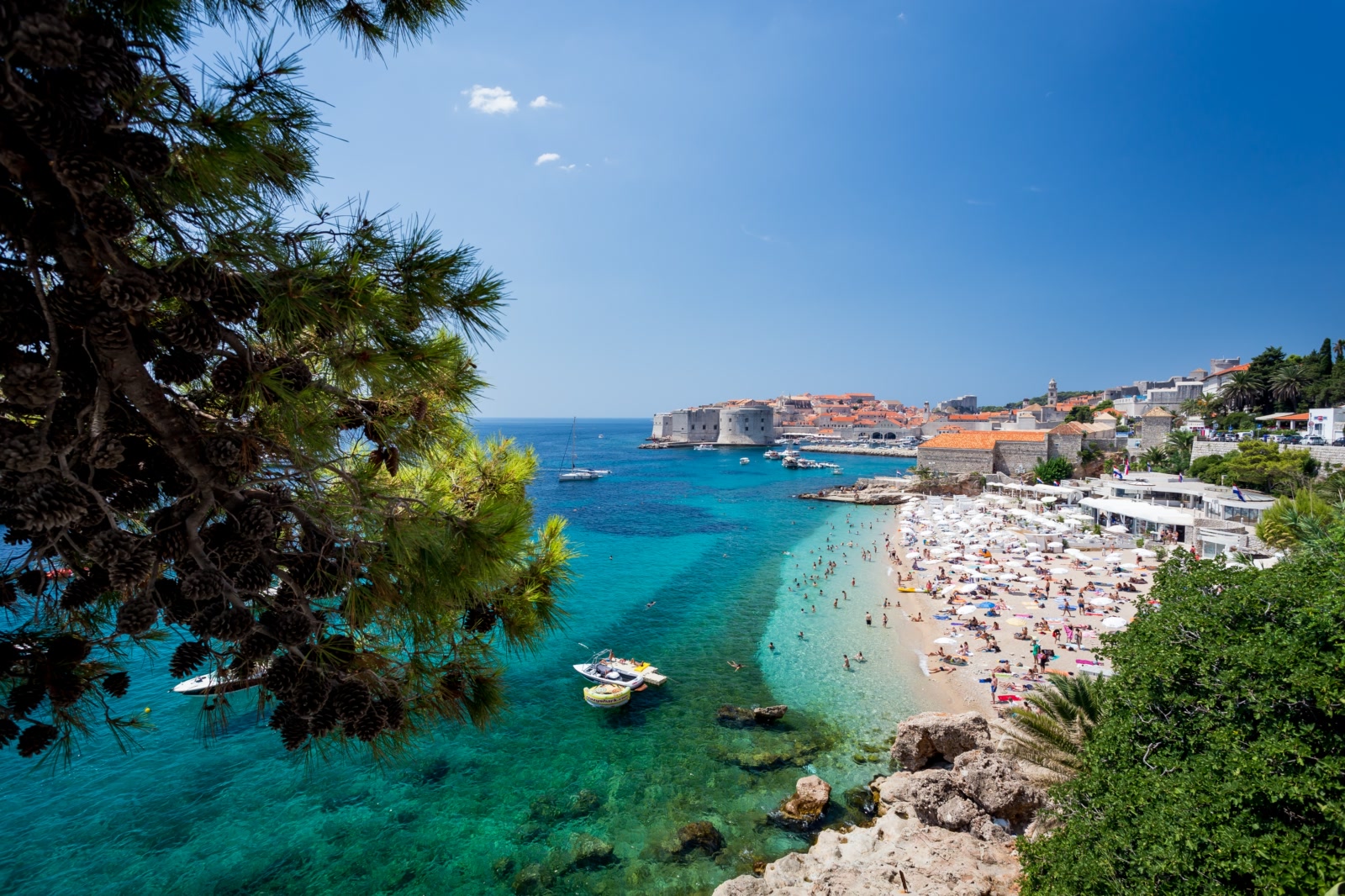 img_2015_julien-duval1