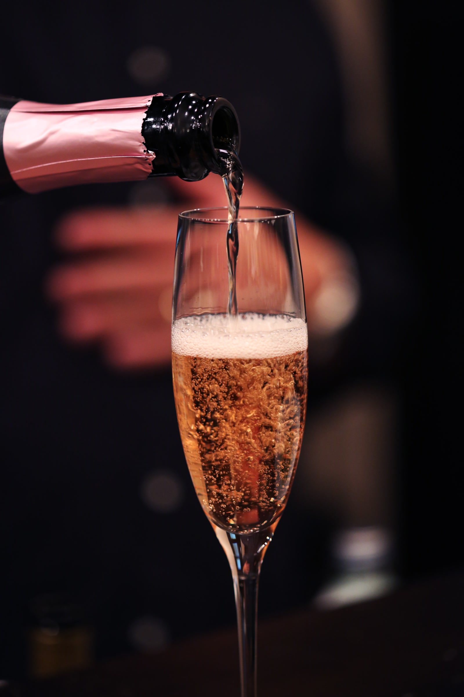 bg4a3193_katija-zivkovic1